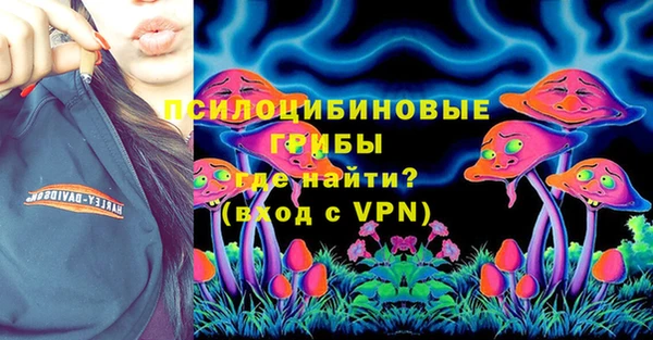 мет Алексин