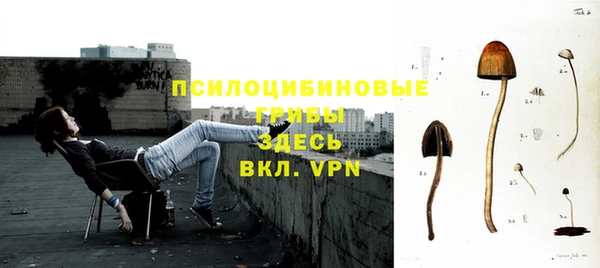 первитин Осташков
