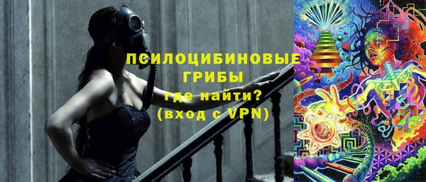 мдпв Алзамай